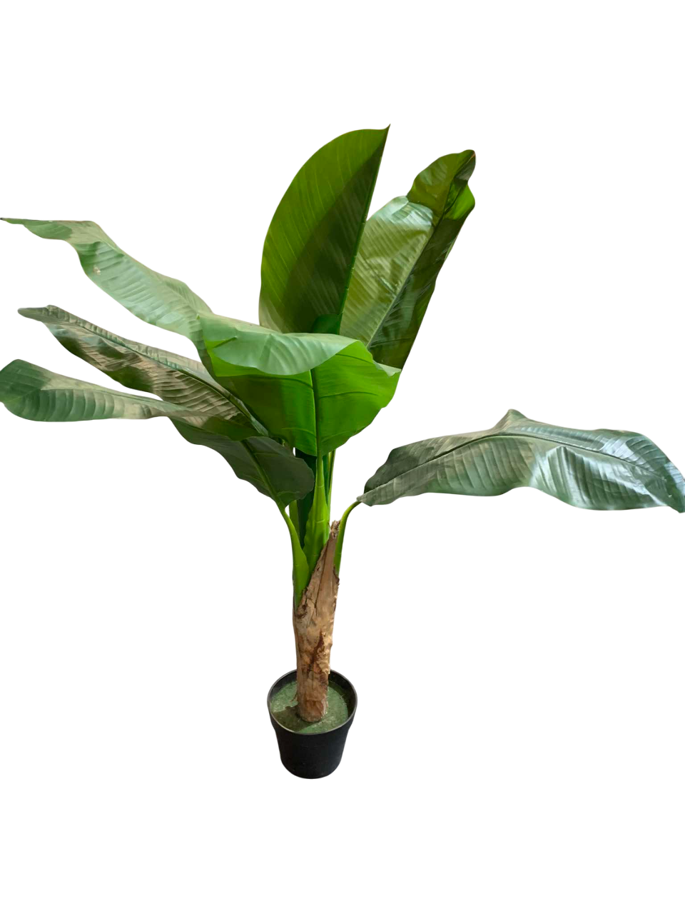 Set de Monsters at work