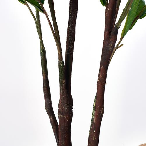 Árbol de olivo 122cm