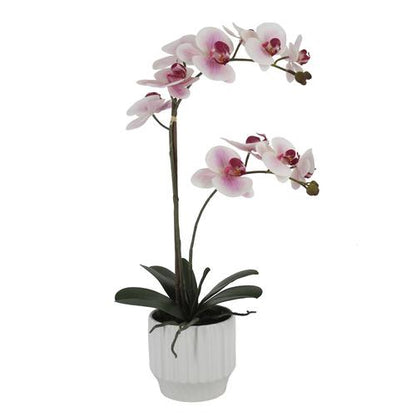 Orquídea Artificial