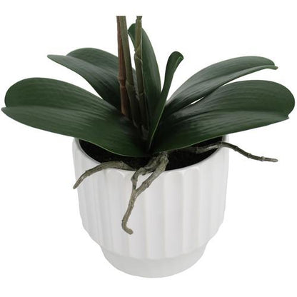 Orquídea Artificial