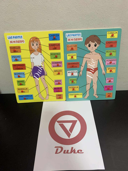 juego del cuerpo humano